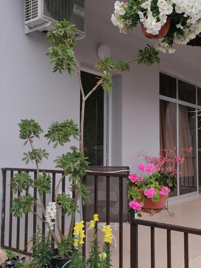 Hamboula Daire Polis Dış mekan fotoğraf